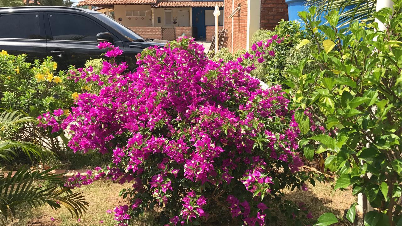 فيلا Chale Temporada Porto Dos Lencois - Lencois Maranhenses باريرينهاس المظهر الخارجي الصورة